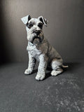 Miniature Schnauzer Sculpture – 20cm