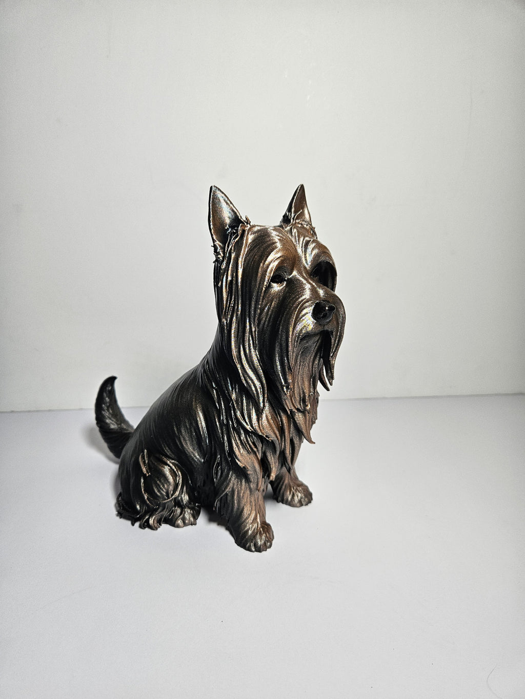 Australian Silky Terrier 22cm height