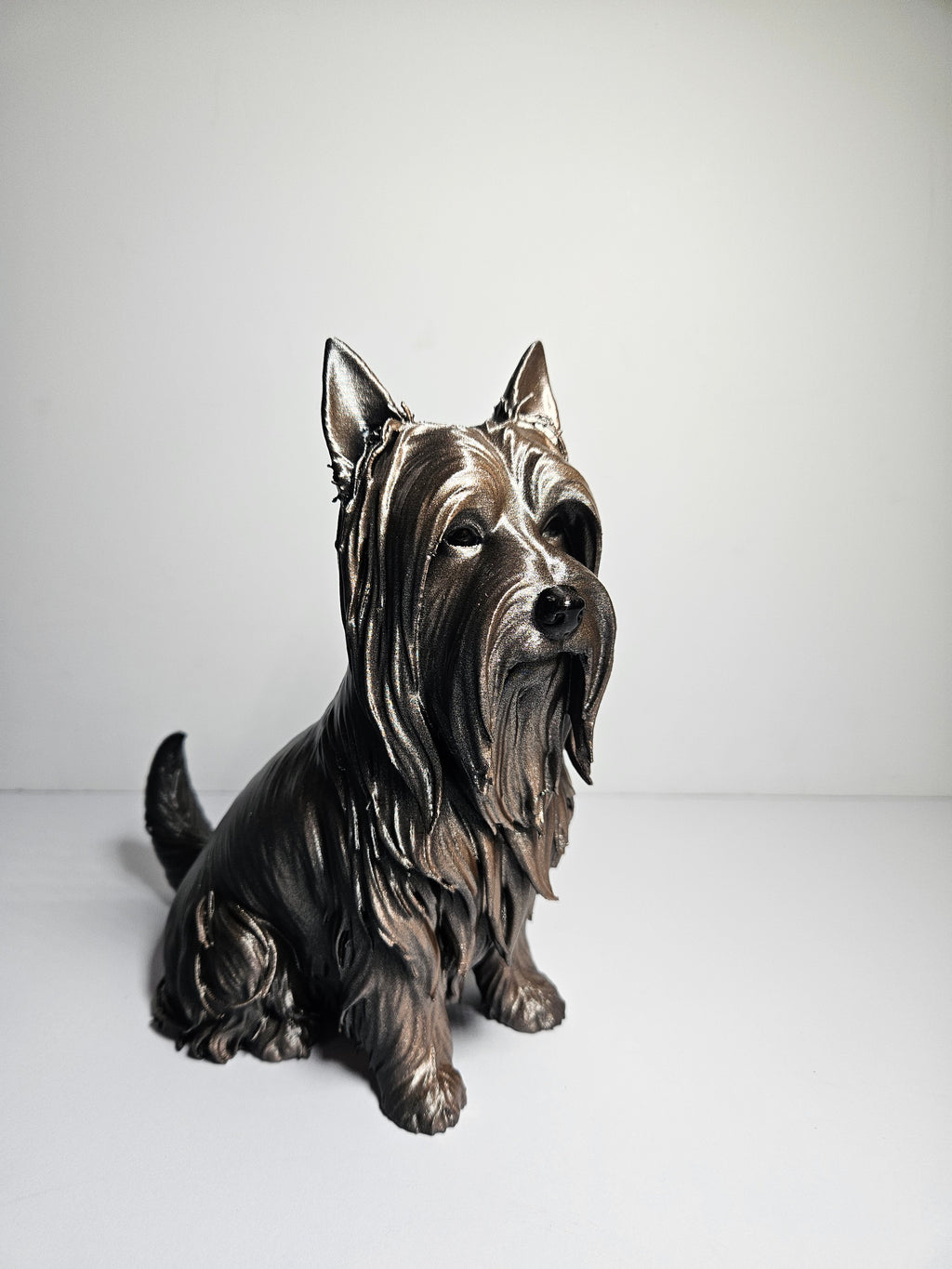 Australian Silky Terrier 22cm height