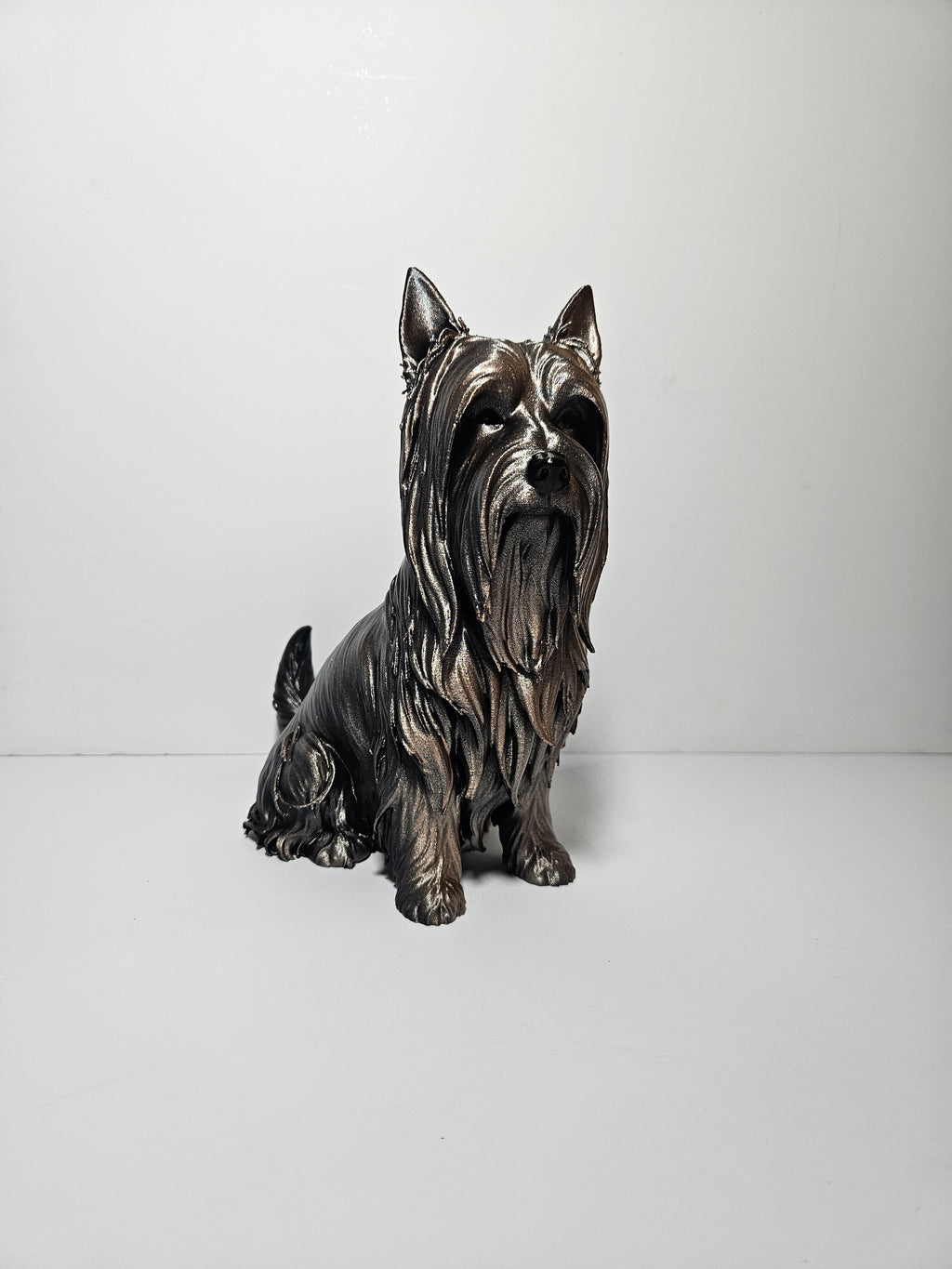 Australian Silky Terrier 22cm height