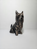 Australian Silky Terrier 22cm height