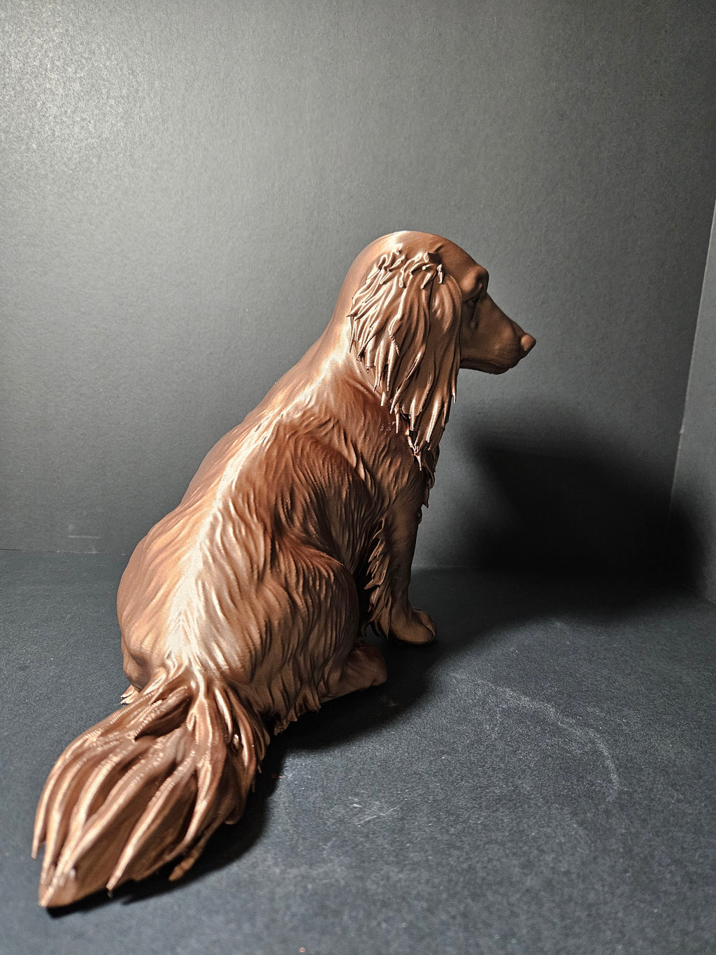 Long haired Dashound 30cm length